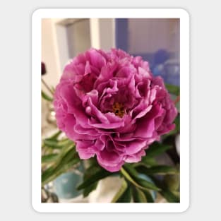 My Kitchen Peony Flowers Sticker